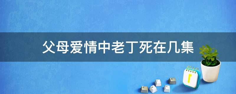 父母爱情中老丁死在几集（父母爱情里老丁死的时候是哪一集）