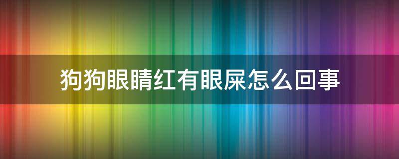 狗狗眼睛红有眼屎怎么回事 狗狗眼睛红且有眼屎怎么办?