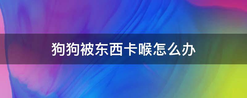 狗狗被东西卡喉怎么办 狗狗被东西卡喉咙了怎么办