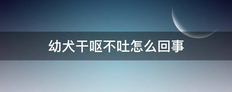 幼犬干呕不吐怎么回事 幼犬干呕不吐怎么办