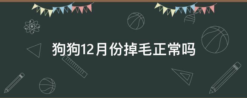 狗狗12月份掉毛正常吗 狗狗12月份还大量掉毛