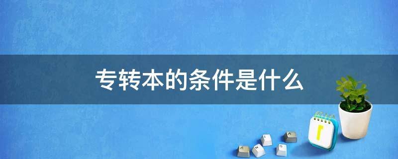 专转本的条件是什么 专转本需要注意什么