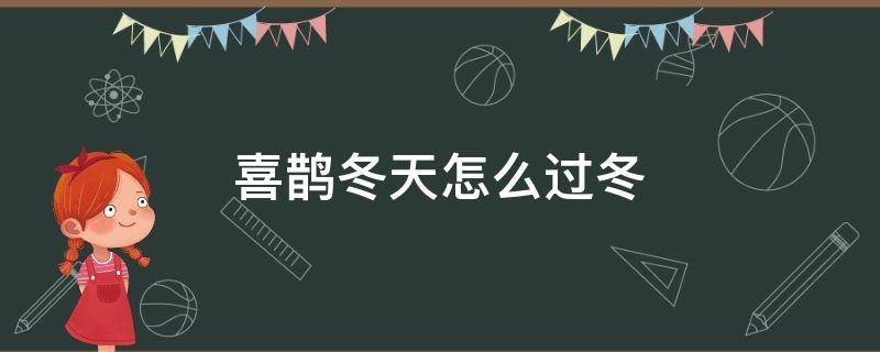 喜鹊冬天怎么过冬（喜鹊冬天冬眠吗）