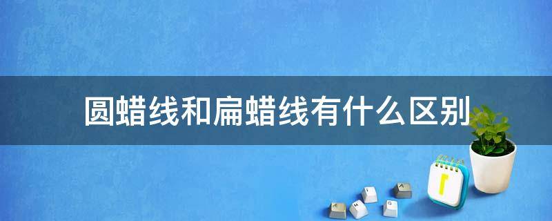 圆蜡线和扁蜡线有什么区别（扁蜡线和圆蜡线区别和用途）