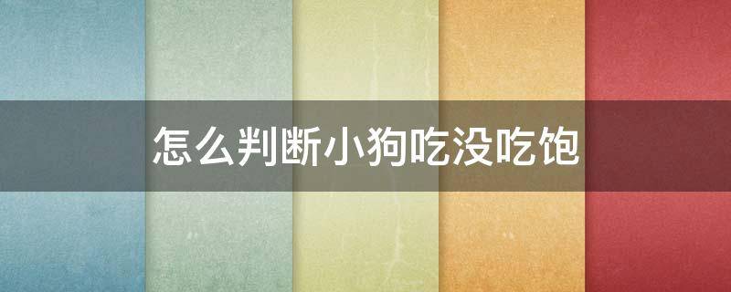 怎么判断小狗吃没吃饱 怎么辨别狗吃没吃饱