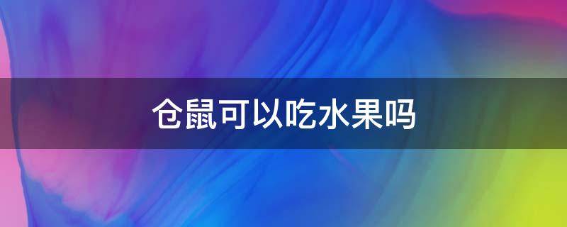 仓鼠可以吃水果吗 仓鼠可以吃水果吗 百度网盘