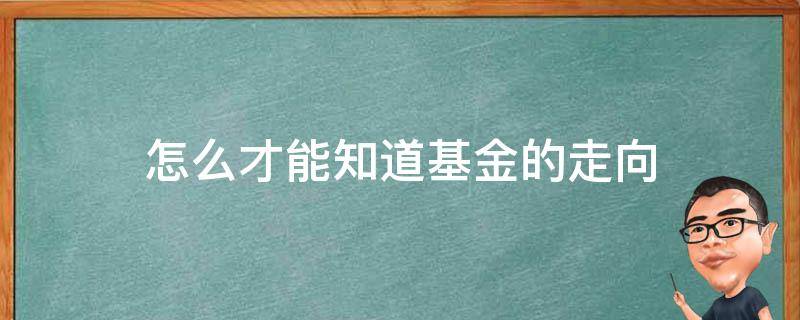 怎么才能知道基金的走向（怎么才能看懂基金）