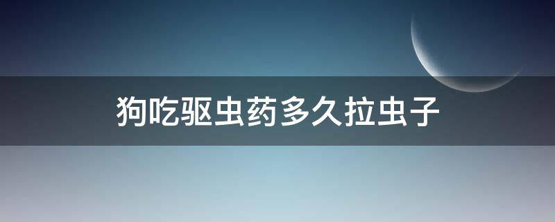 狗吃驱虫药多久拉虫子 狗吃了驱虫药多久拉虫子