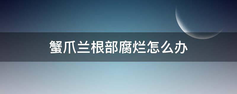 蟹爪兰根部腐烂怎么办 蟹爪兰根腐烂了怎么办?