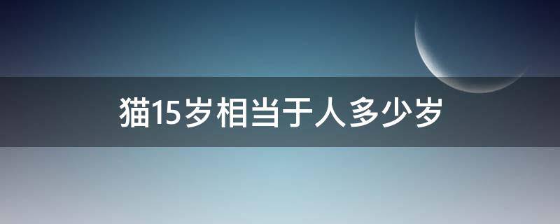 猫15岁相当于人多少岁（猫15岁是人的几岁）