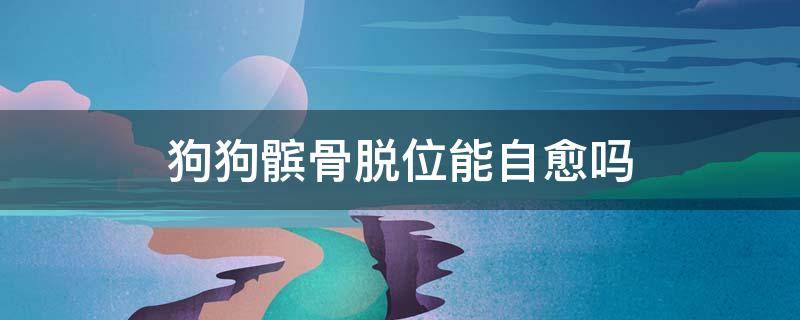 狗狗髌骨脱位能自愈吗 狗狗髌骨脱位能彻底治好吗