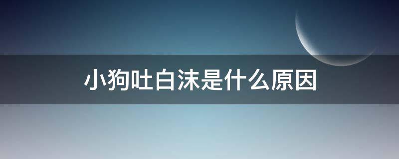 小狗吐白沫是什么原因（小狗吐白沫是什么原因抢救方法）