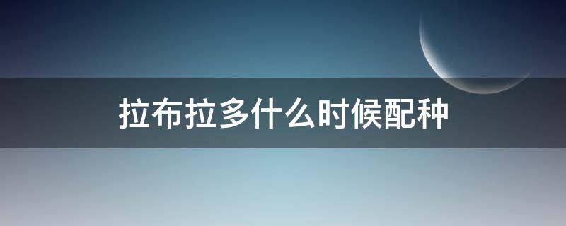 拉布拉多什么时候配种（拉布拉多配种最佳时间是什么时候?）