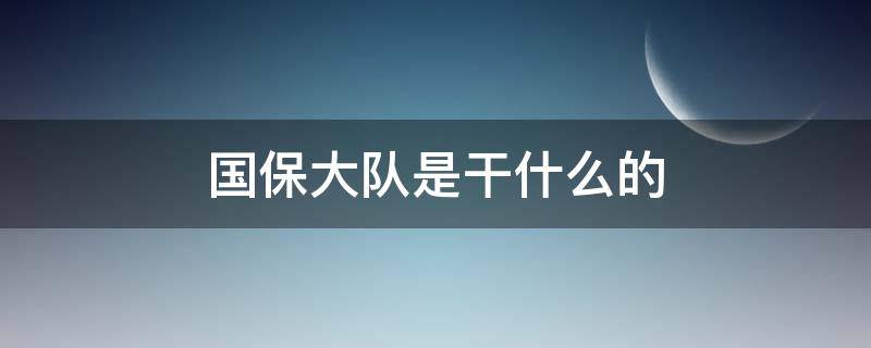 国保大队是干什么的（分局国保大队是干什么的）