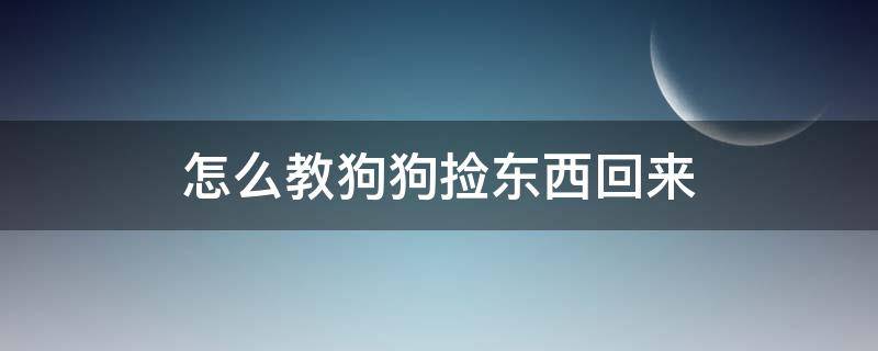 怎么教狗狗捡东西回来 怎么教会狗狗捡东西