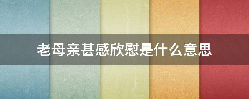 老母亲甚感欣慰是什么意思（老母亲感到很欣慰是什么意思）