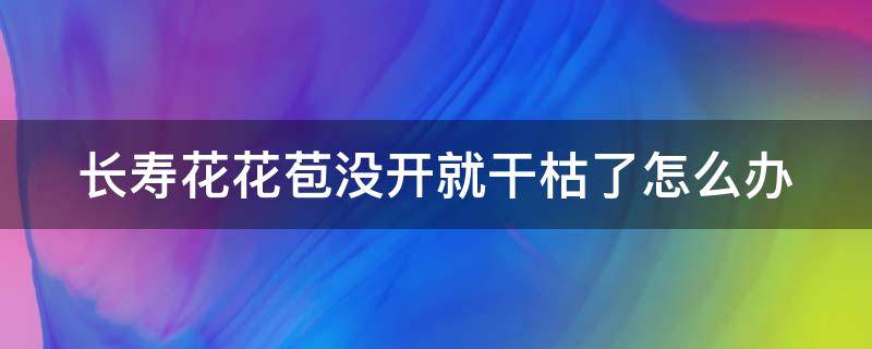 长寿花花苞没开就干枯了怎么办 长寿花花苞没开就干枯了怎么办视频