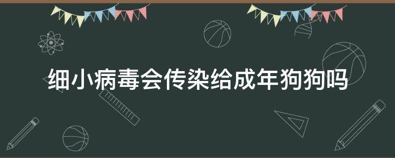 细小病毒会传染给成年狗狗吗 细小病毒会传染给成年犬吗