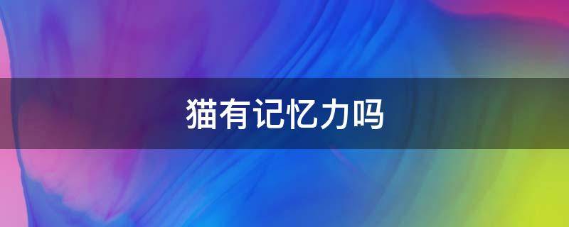 猫有记忆力吗 猫有记忆力吗?会认识以前的主人吗