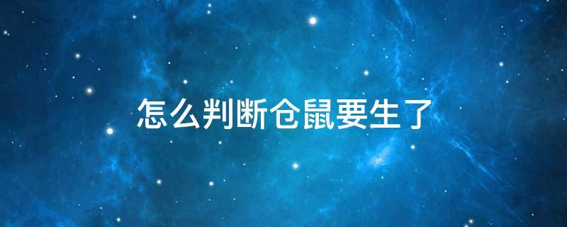 怎么判断仓鼠要生了 不知道仓鼠什么时候生的怎么办