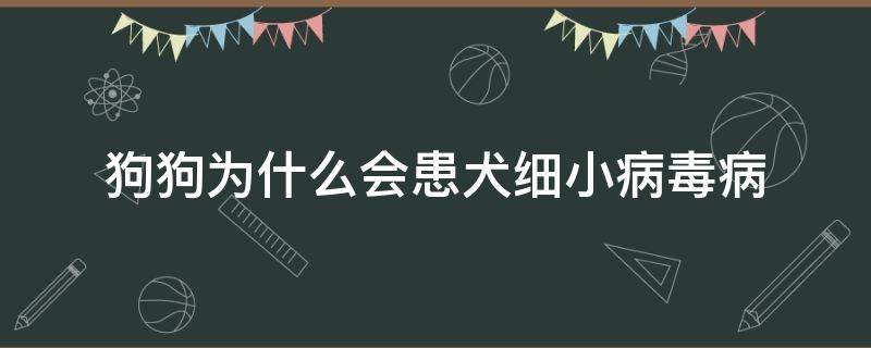 狗狗为什么会患犬细小病毒病 狗都会得犬细小病毒吗