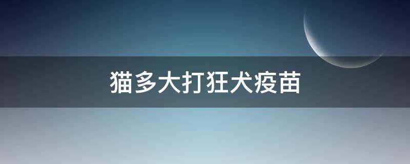 猫多大打狂犬疫苗 猫多大打狂犬疫苗有几针