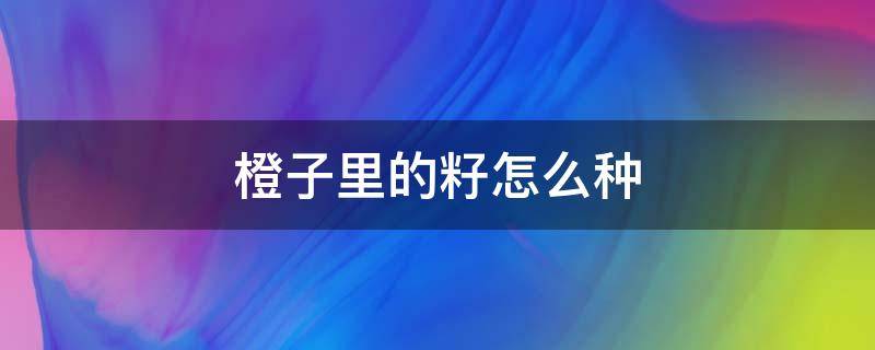 橙子里的籽怎么种（用橙子籽种出的苗）