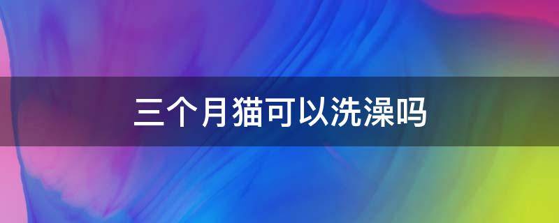 三个月猫可以洗澡吗 3个月的猫能洗澡吗