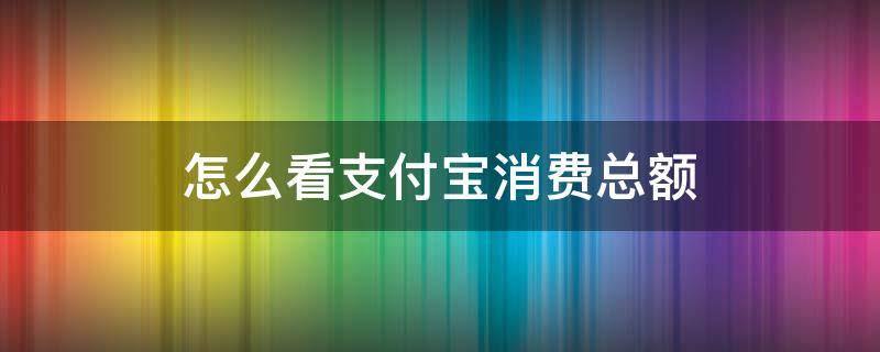 怎么看支付宝消费总额（支付宝怎么看全部消费总额）