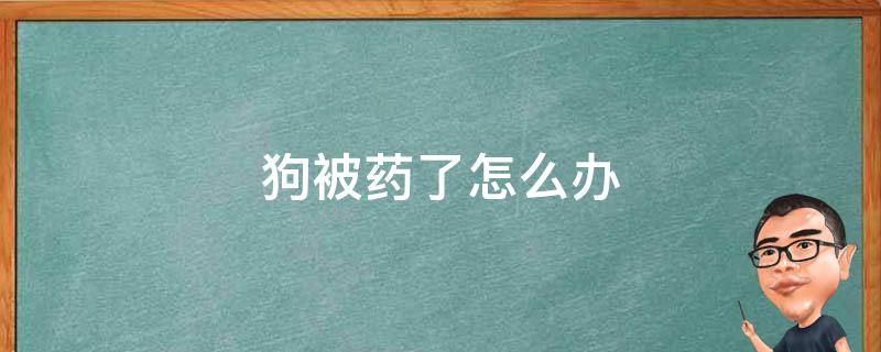 狗被药了怎么办 狗被吃药了怎么办