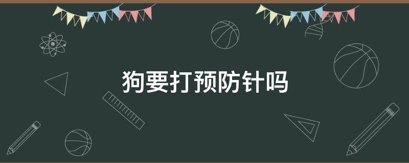 狗要打预防针吗 狗狗为什么要打预防针