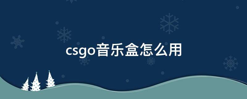 csgo音乐盒怎么用（csgo音乐盒怎么使用）