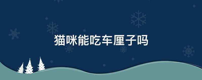 猫咪能吃车厘子吗 猫咪可不可以吃车厘子