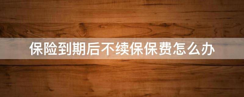 保险到期后不续保保费怎么办 保险到期不续保多久失效