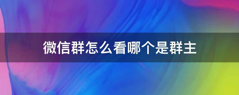 微信群怎么看哪个是群主 微信里怎么看哪个是群主