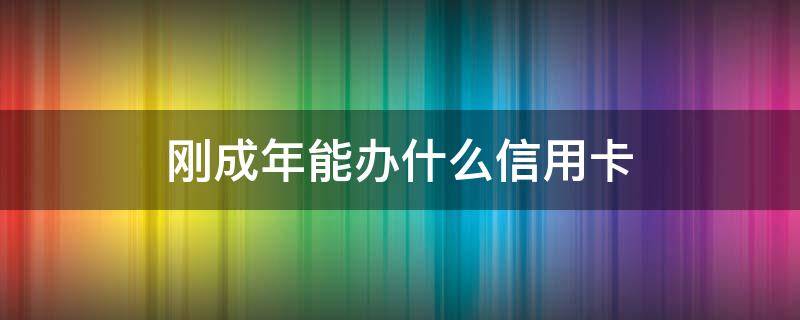 刚成年能办什么信用卡 刚成年办理信用卡办的下来吗