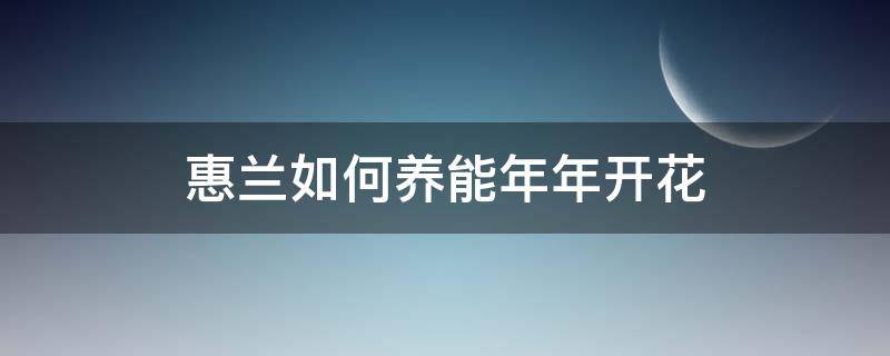 惠兰如何养能年年开花 大花惠兰如何养能年年开花