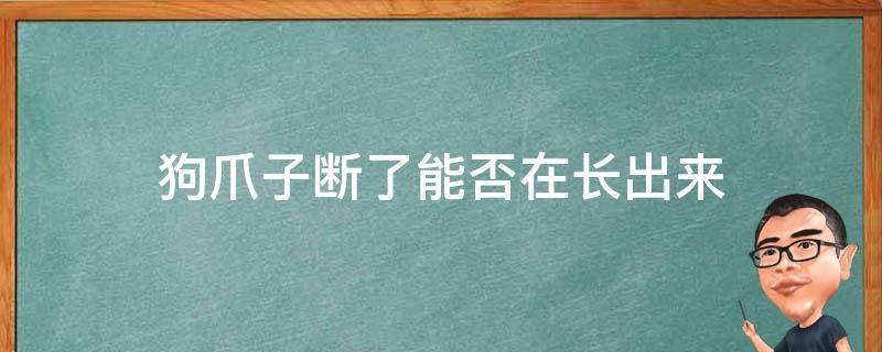 狗爪子断了能否在长出来（狗狗爪子上面的小爪子断了）