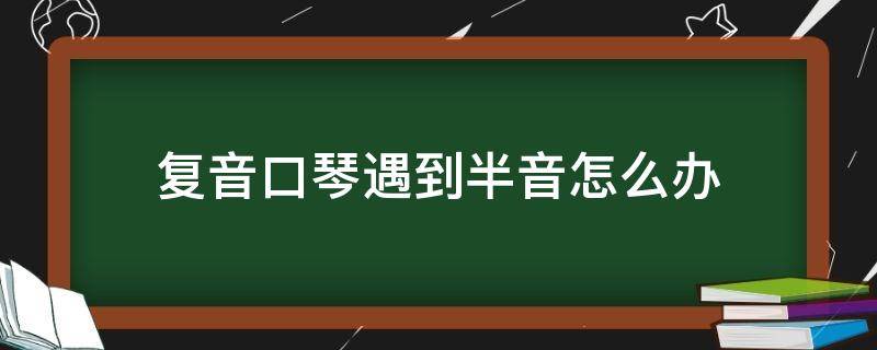 复音口琴遇到半音怎么办（复音口琴有半音吗）