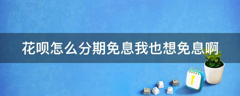 花呗怎么分期免息我也想免息啊（花呗怎么分期免息我也想免息啊）