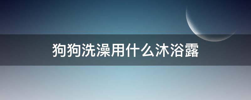 狗狗洗澡用什么沐浴露 狗狗洗澡用什么沐浴露特别香