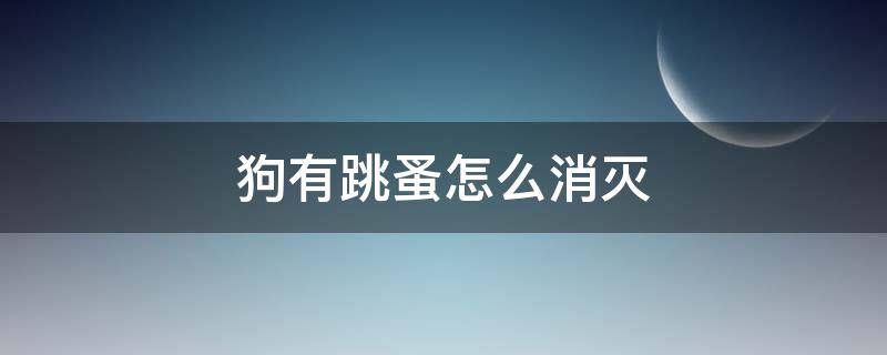 狗有跳蚤怎么消灭 狗上有跳蚤怎么消灭