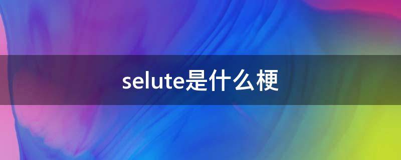 selute是什么梗 涩路特是什么梗