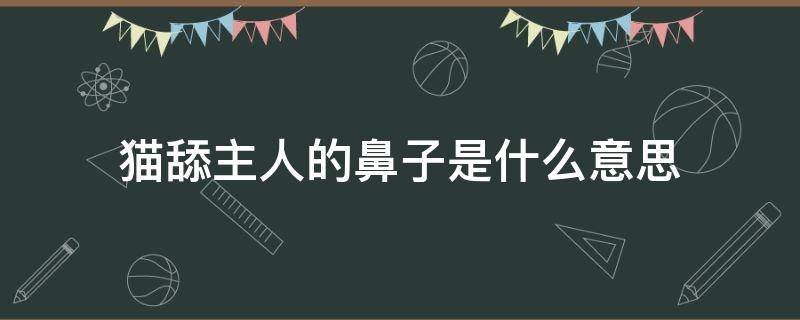 猫舔主人的鼻子是什么意思（猫舔人鼻子是什么原因）