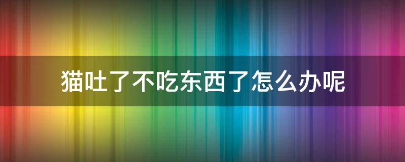 猫吐了不吃东西了怎么办呢 猫咪吐了不吃食怎么办