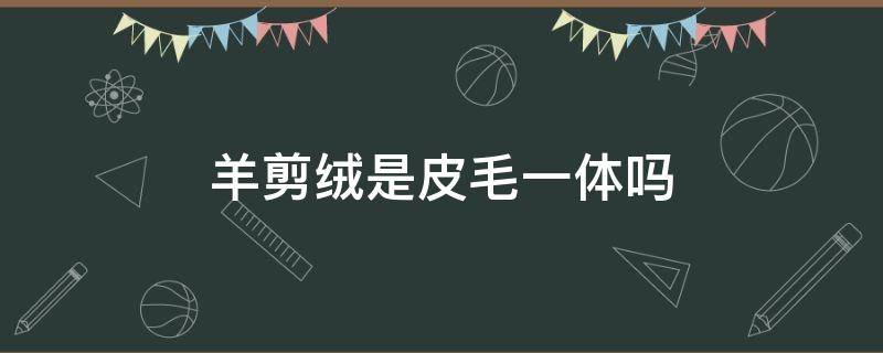 羊剪绒是皮毛一体吗 羊剪绒和皮毛一体的区别图片