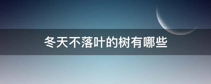 冬天不落叶的树有哪些（冬天不落叶的树有哪些最佳答案）