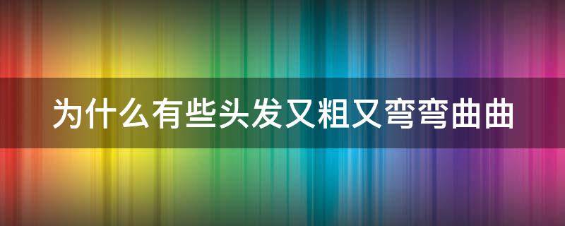 为什么有些头发又粗又弯弯曲曲 为什么一些头发又粗又弯