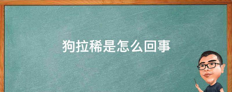 狗拉稀是怎么回事（一个月大的小狗拉稀是怎么回事）