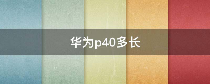 华为p40多长 华为p40多少钱